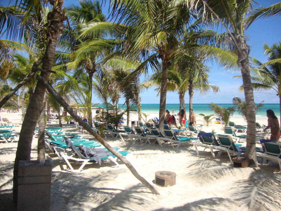 Hotel Catalonia Playa Maroma Catalonia Playa Maroma