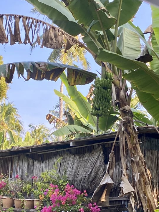 Gartenanlage Adaaran Select Hudhuran Fushi - Premium All Inclusive