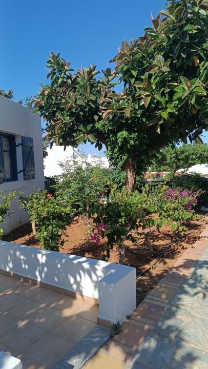 Gartenanlage TUI SUNEO Chrissi Amoudia