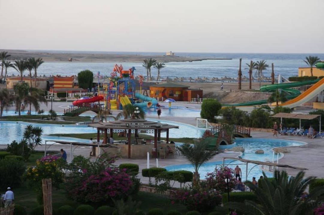 Große Poolanlage für Klein und Groß Malikia Resort Abu Dabbab