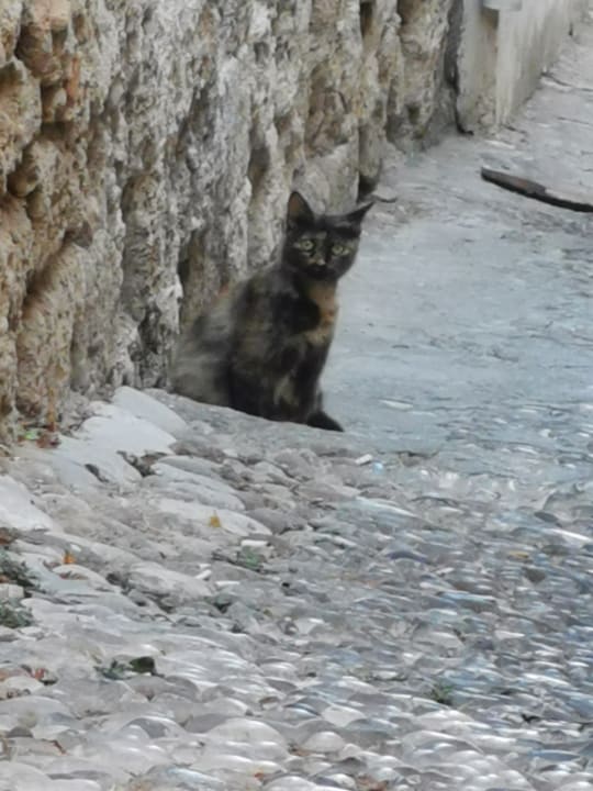Außenansicht Lindos Royal Resort