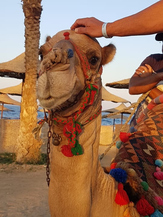 Strand Three Corners Sea Beach Resort