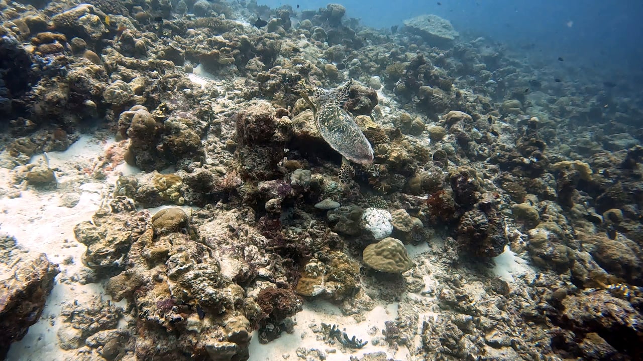 Sport & Freizeit Summer Island Maldives