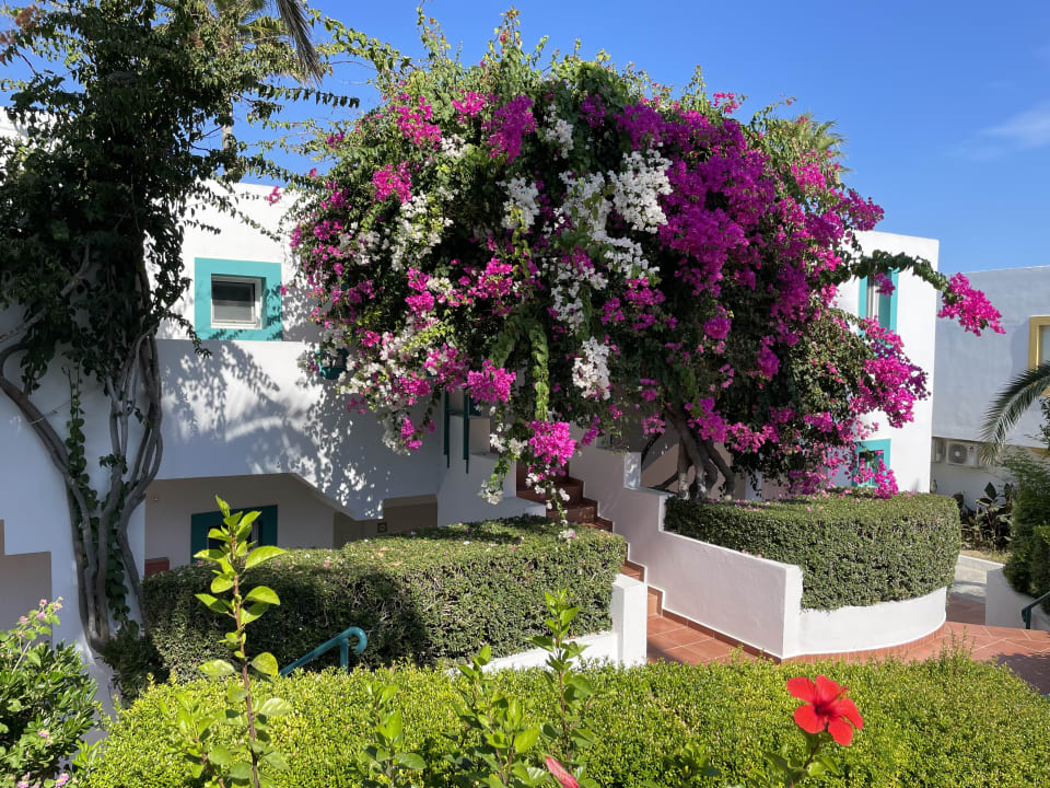 Gartenanlage Mastichari Bay Hotel