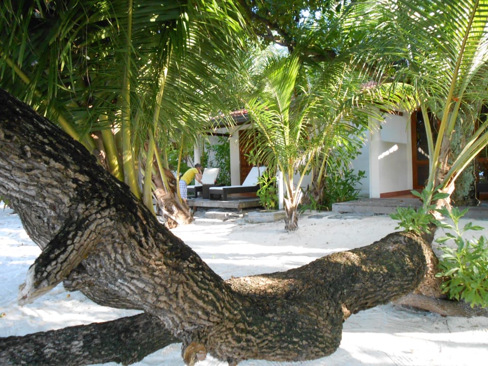 Deluxe Beachvilla Kuramathi Maldives