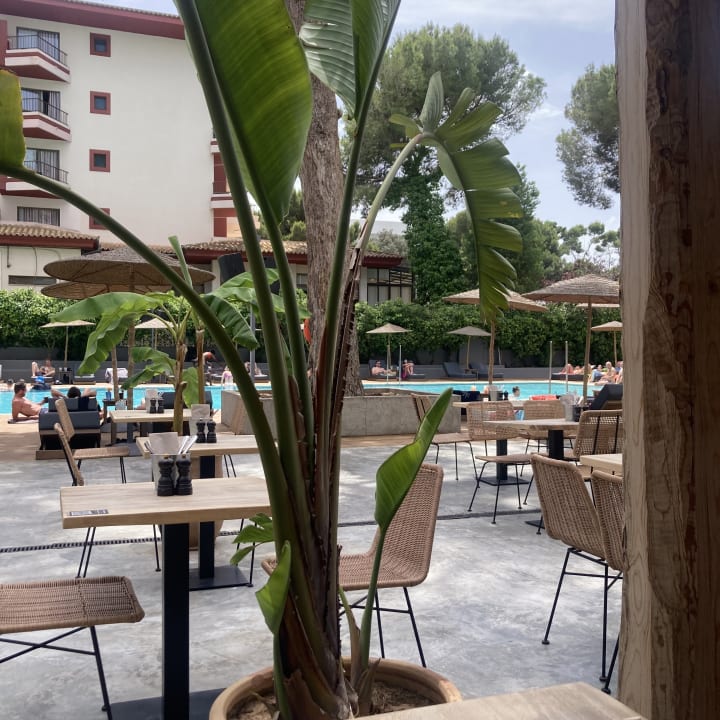 Pool Caramelo Palma Beach