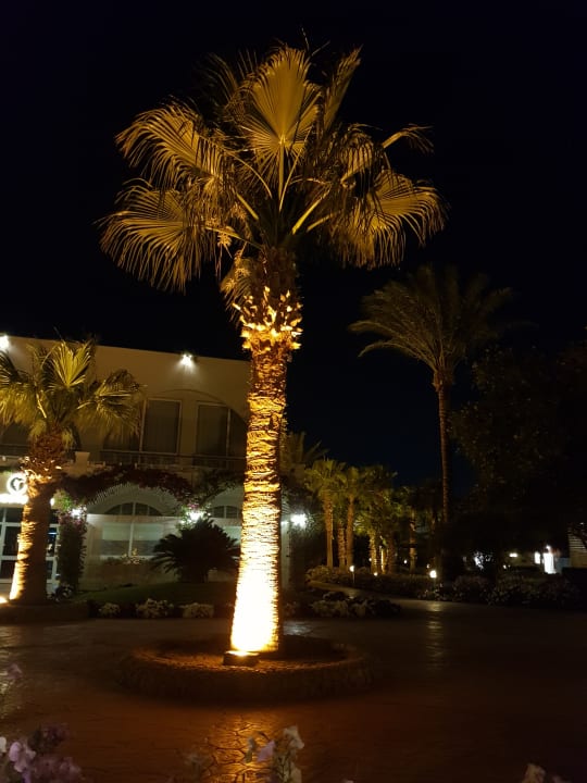 Außenansicht Desert Rose