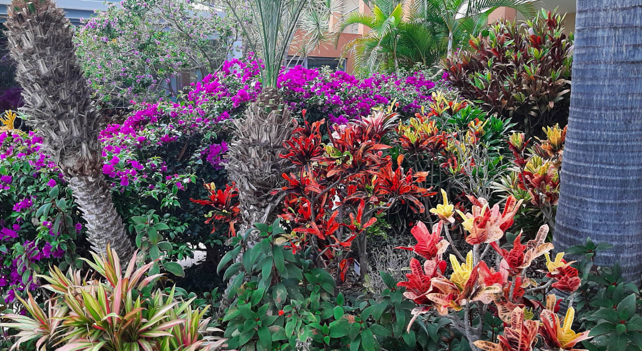 Gartenanlage Pestana Promenade Ocean Resort Hotel