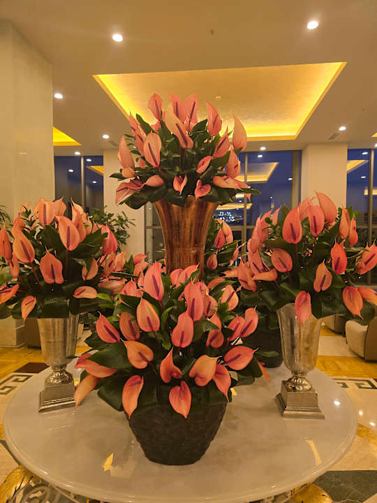 Lobby Arum Barut Collection
