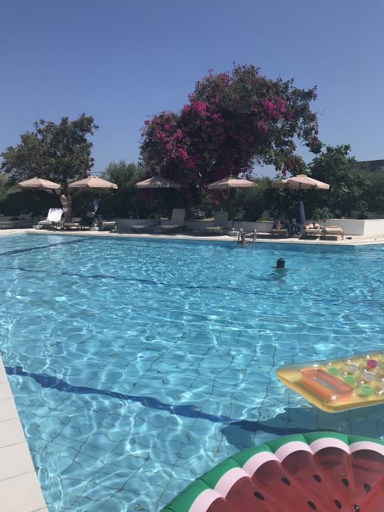 Pool Vasia Royal Hotel