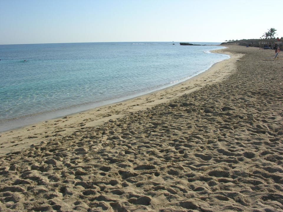 Plaża przypływ Malikia Resort Abu Dabbab