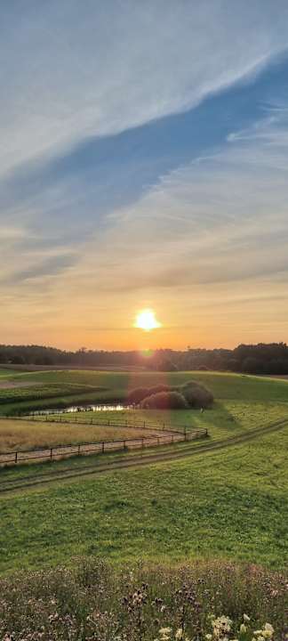 Gartenanlage Pałac i Folwark Galiny
