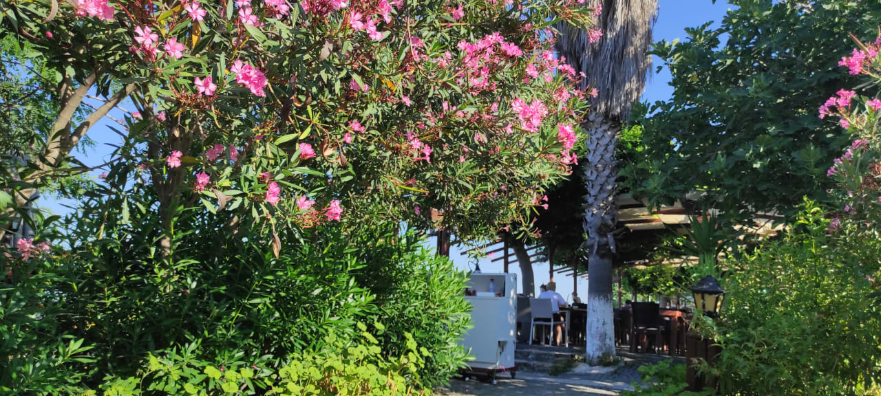 Gartenanlage Clover Magic Nova Beach