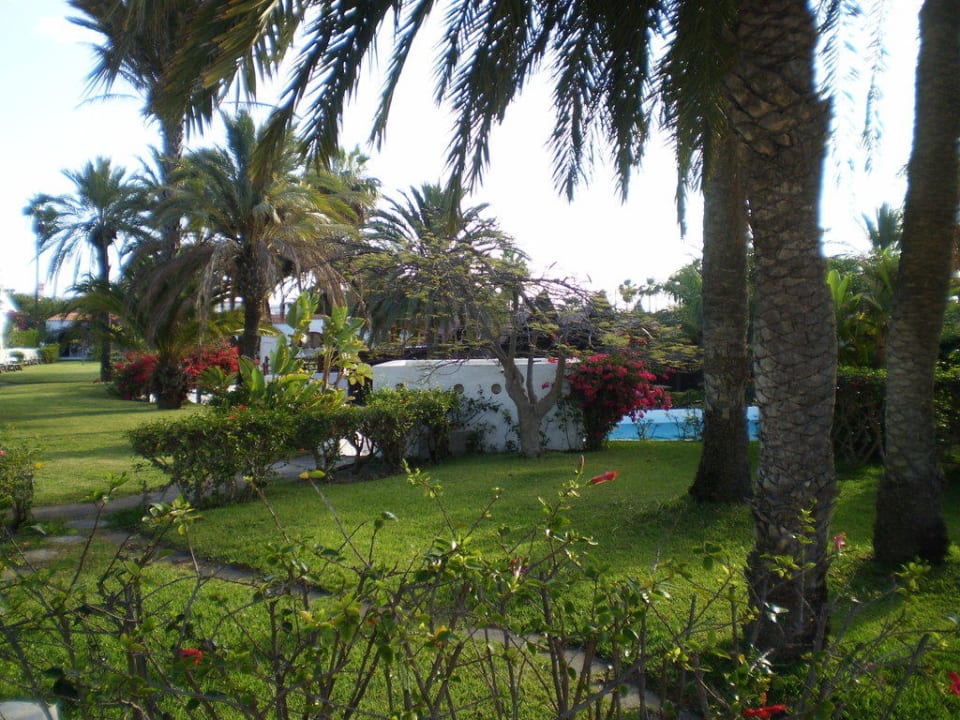 Blick zum Pool HL Miraflor Suites Hotel