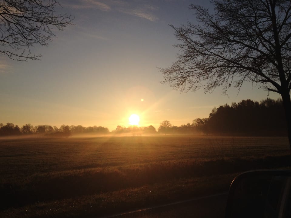 Ausblick Ferienwohnungen Steffi's Spreewaldträume