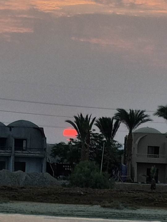 Zimmer Shams Alam Beach Resort