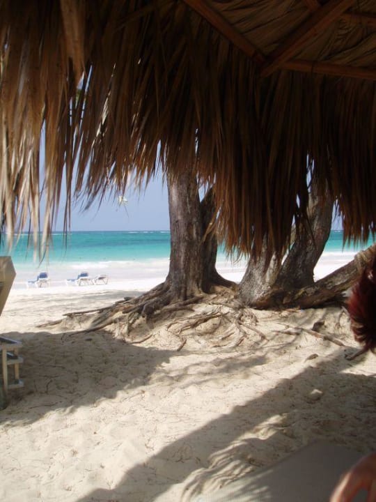 Strand Paradisus Punta Cana Resort (Im Umbau/Renovierung)