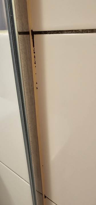 Zimmer Bull Dorado Beach & Spa