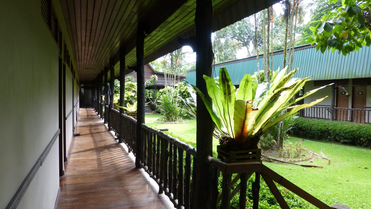 Gang zwischen den Zimmern Hotel Sukau Rainforest Lodge