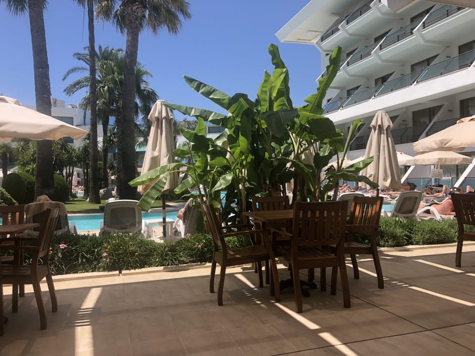 Ausblick Side Star Elegance