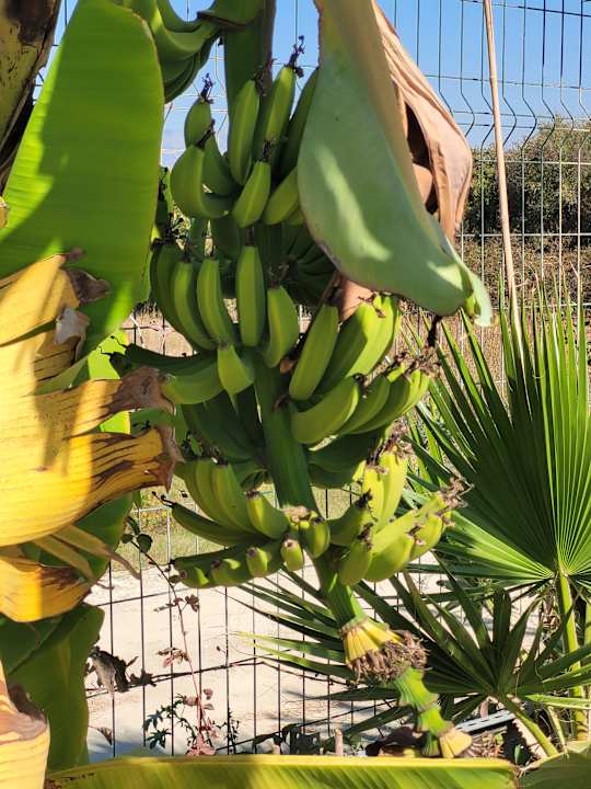 Pool Dream Fun World