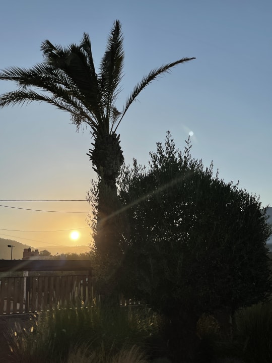 Außenansicht Petousis Hotel & Suites