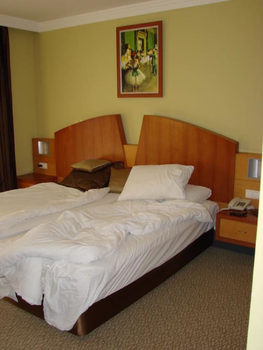 Zimmer Limak Limra Hotel & Resort