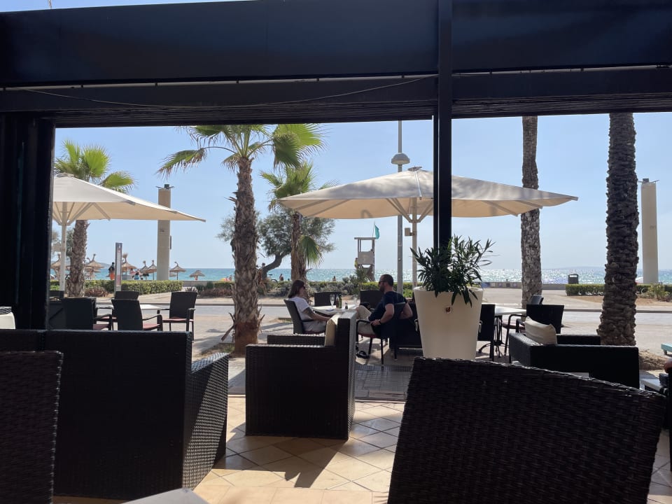 Gastro Myseahouse Flamingo - Adults only