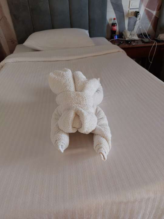 Zimmer Three Corners Sea Beach Resort