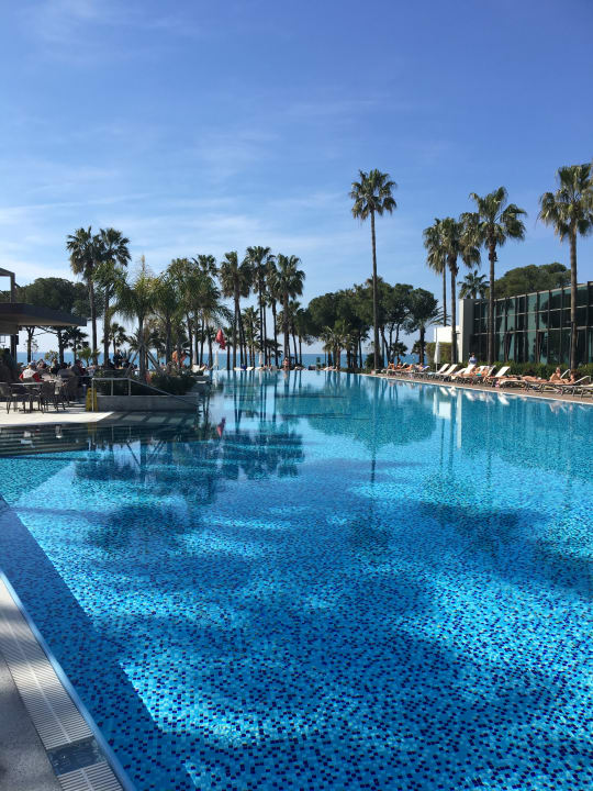 Pool Acanthus Cennet Barut Collection