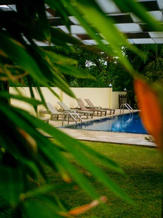 Pool Jungle Paradise