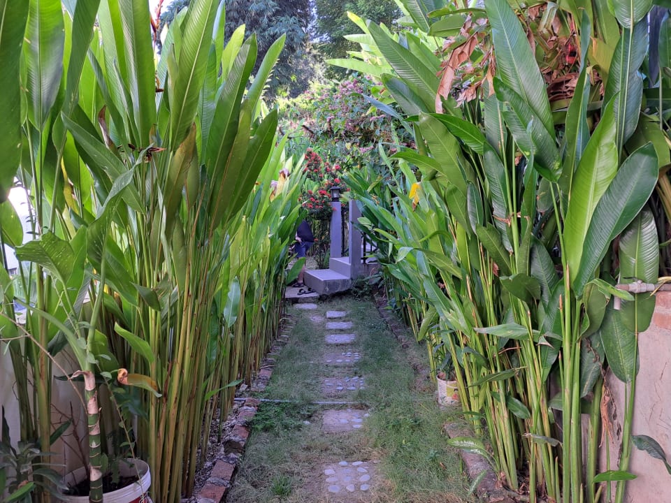 Gartenanlage Manta Manta Guesthouse