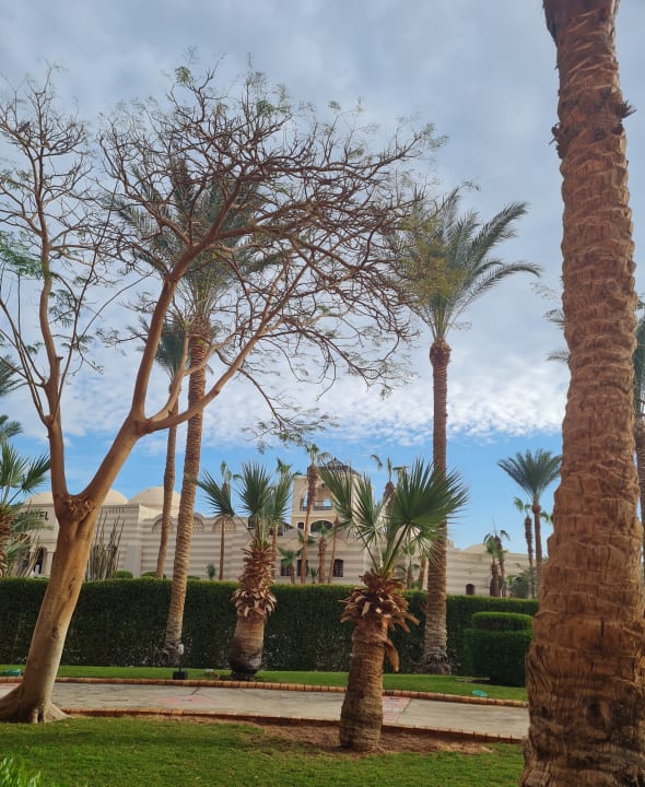 Ausblick Jaz Makadi Oasis Resort