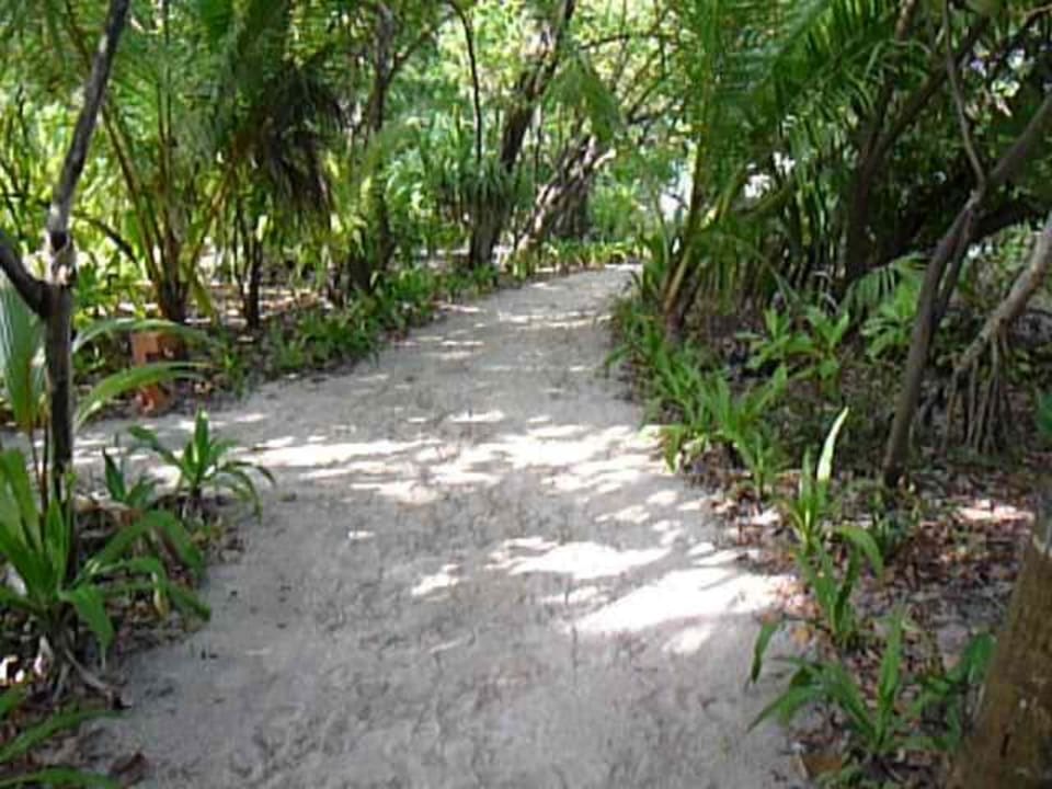 Schattige Wege NH Collection Maldives Reethi Resort