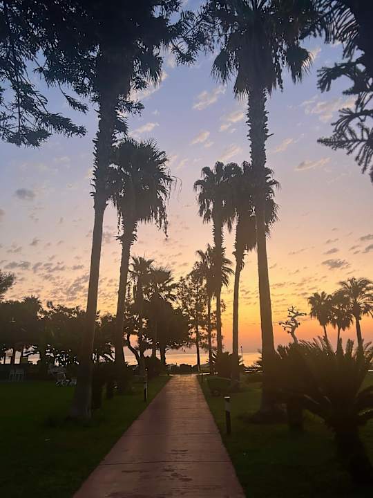 Gartenanlage TUI MAGIC LIFE Beldibi +16