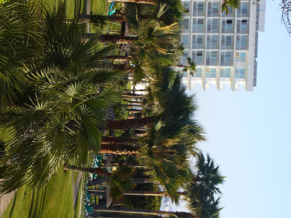Blick auf Hotel Esperanza Playa Playa Esperanza Resort