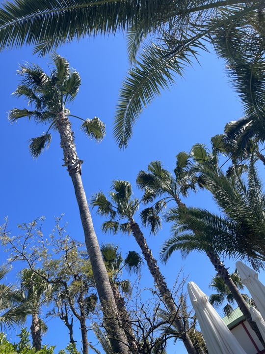 Außenansicht Belek Beach Resort Hotel