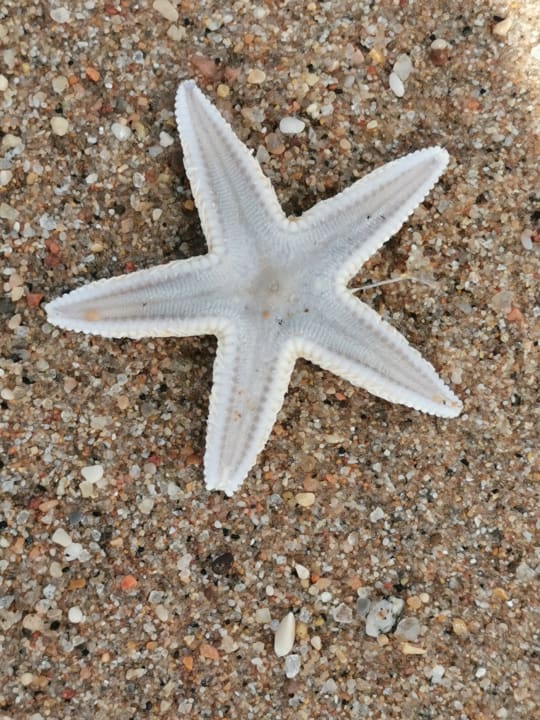 Strand Wyndham Garden Salalah Mirbat