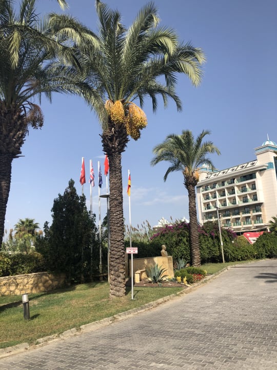 Sonstiges Palm World Side Resort & Spa