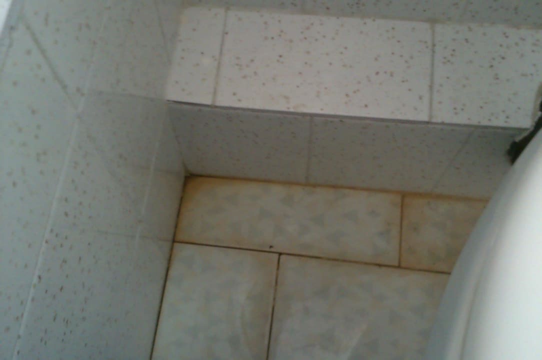 Braun - verdreckte Fliesen neben der Toilette Hotel Stella Beach