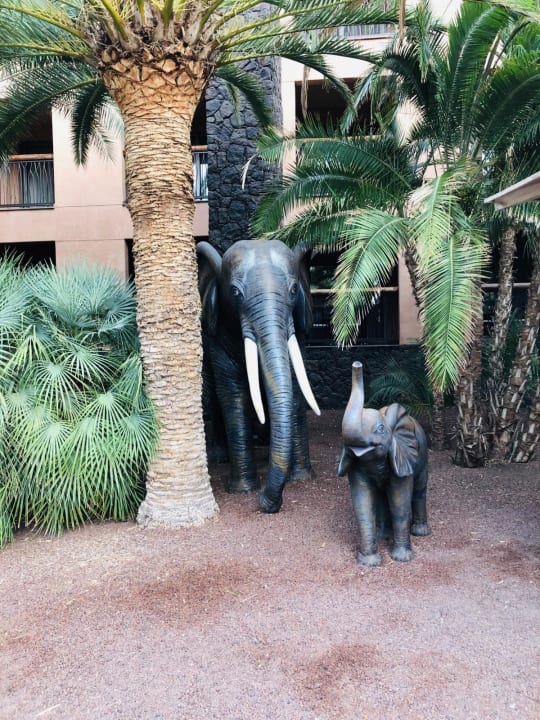 Gartenanlage Lopesan Baobab Resort
