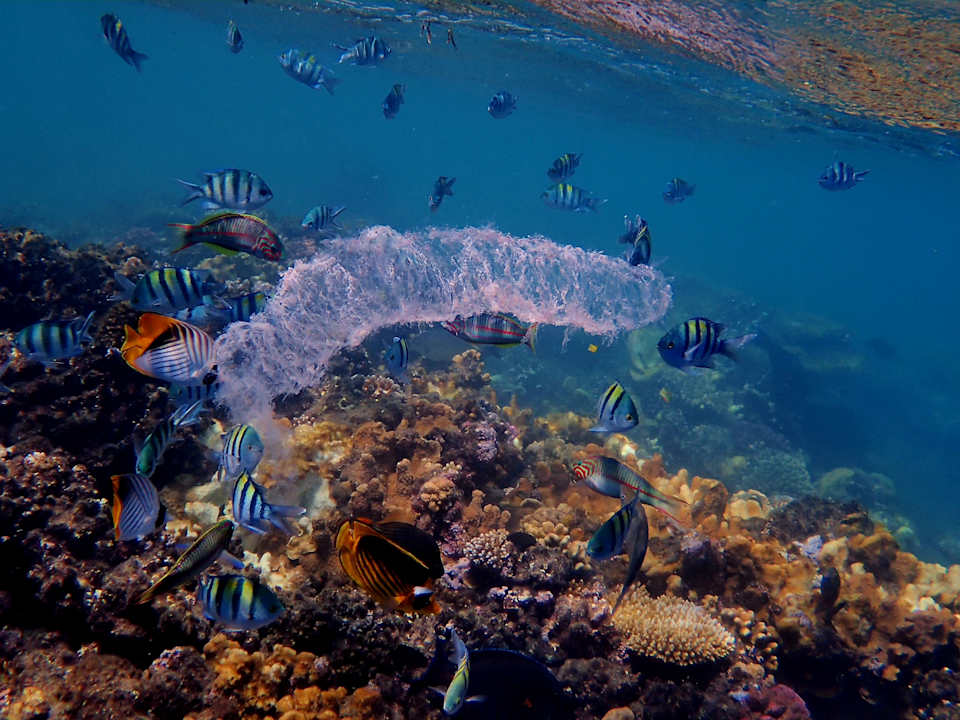 Strand Casa Mare Resort