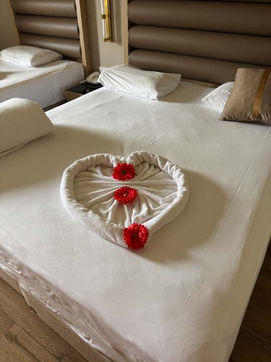 Zimmer Aydinbey Kings Palace & Spa