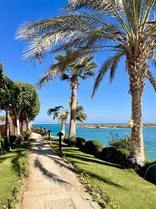 Gartenanlage Hotel Three Corners Ocean View prestige - Adults only