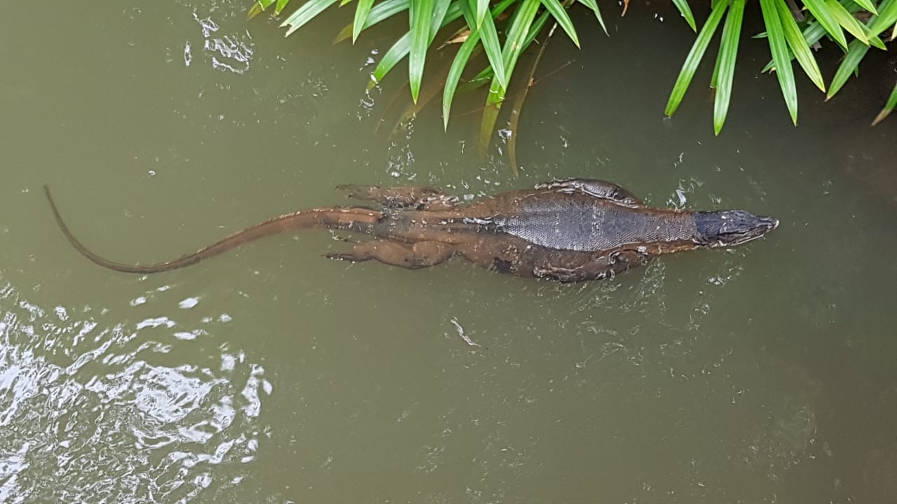 Sonstiges Khaolak Laguna Resort