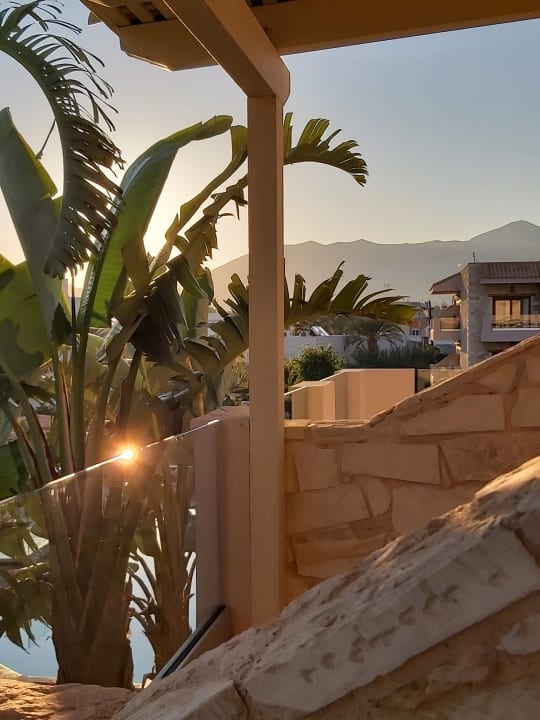 Ausblick Cactus Royal