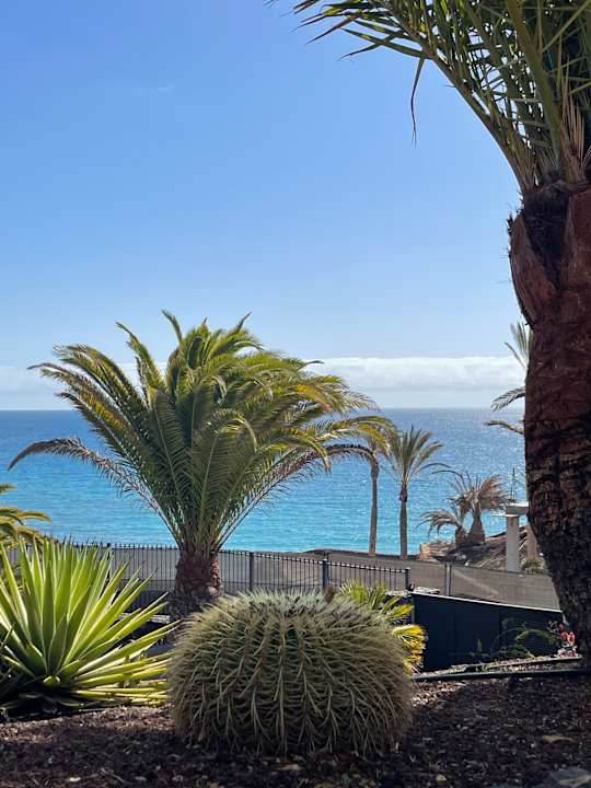 Gartenanlage R2 Rio Calma Hotel & Spa & Conference