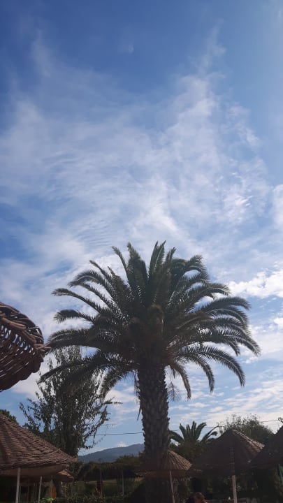 Gartenanlage Dogan Paradise Beach