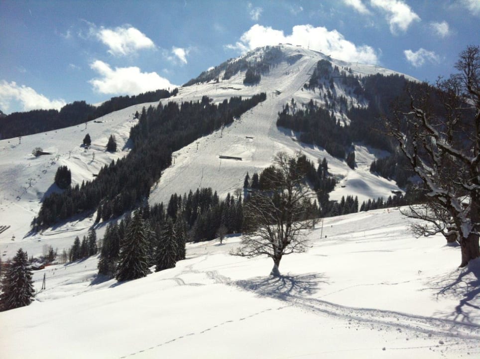 Ausblick Hotel Restaurant Hexenalm