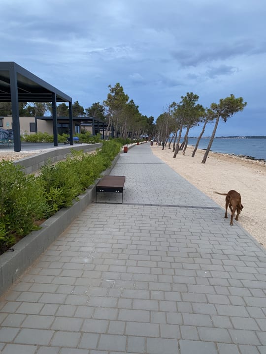 Strand Aminess Style Camping Avalona Resort